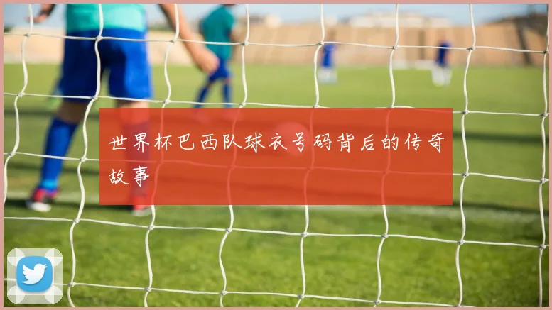 世界杯巴西队球衣号码背后的传奇故事