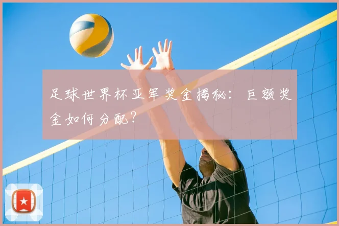 足球世界杯亚军奖金揭秘:巨额奖金如何分配?