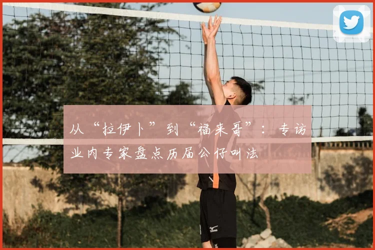 从“拉伊卜”到“福来哥”：专访业内专家盘点历届公仔叫法