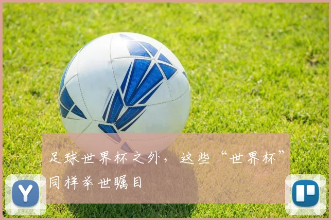 足球世界杯之外,这些“世界杯”同样举世瞩目