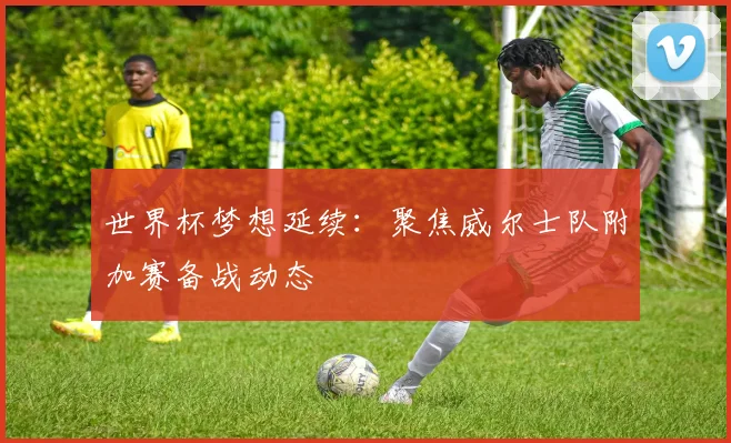 世界杯梦想延续:聚焦威尔士队附加赛备战动态