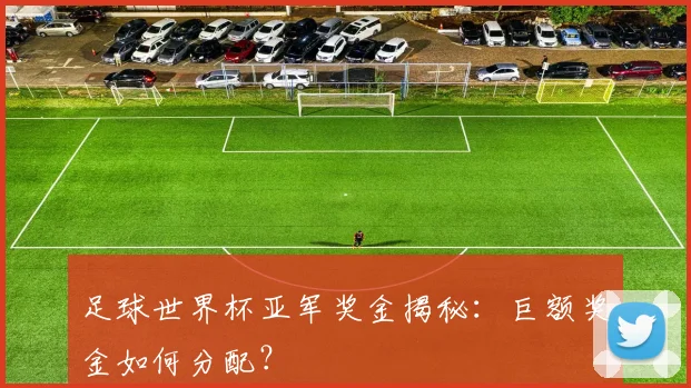足球世界杯亚军奖金揭秘:巨额奖金如何分配?