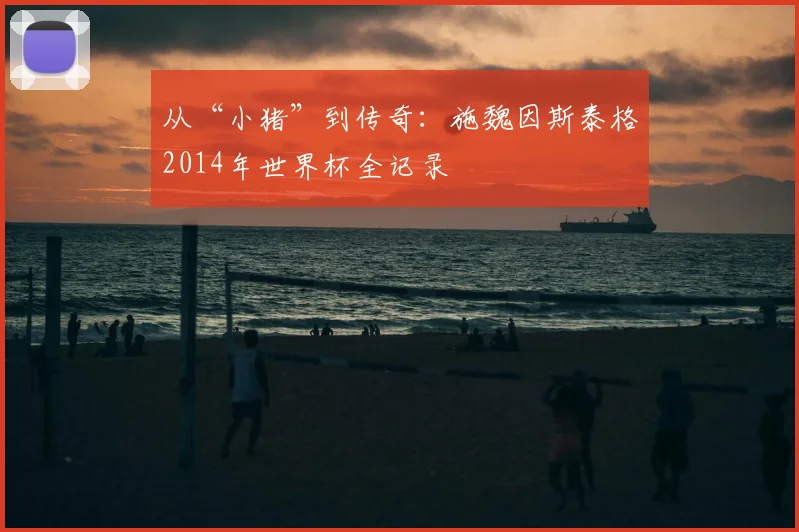 从“小猪”到传奇:施魏因斯泰格2014年世界杯全记录